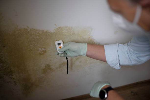 Best Water Damage Restoration  in Hampden Sydney, VA