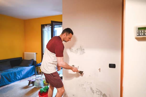 Best Black Mold Removal  in Hampden Sydney, VA